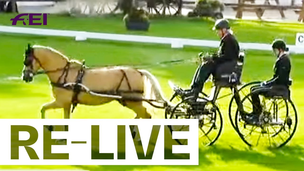RE-LIVE | Dressage Para Grade II - FEI Para Driving World Championship Singles