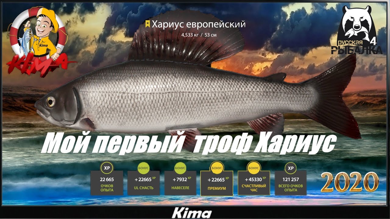 ХАРИУС МОЙ ПЕРВЫЙ ТРОФ - Русская рыбалка 4 ▶️ Kima STREAM - BANDA 77🌍18+