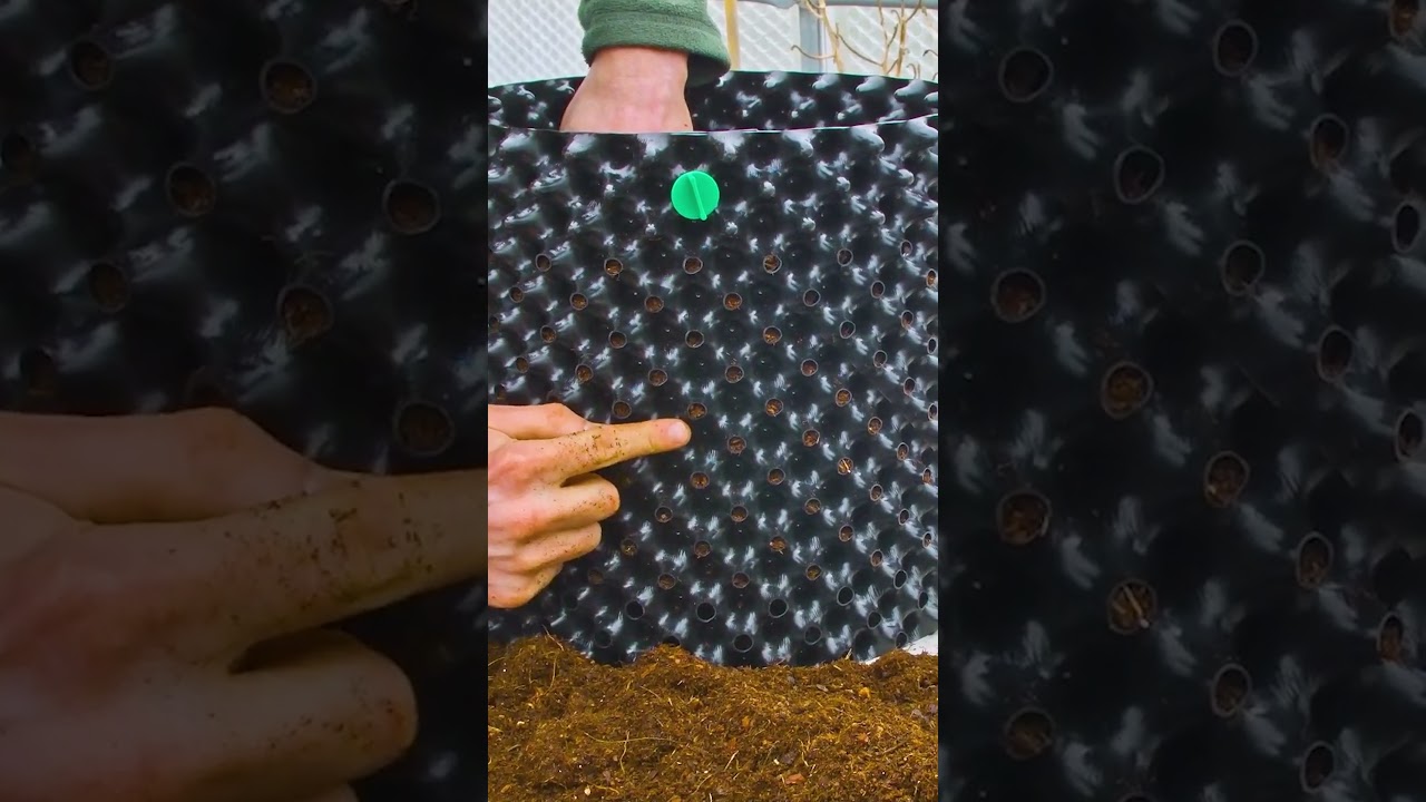 These air pots let plants grow quicker
