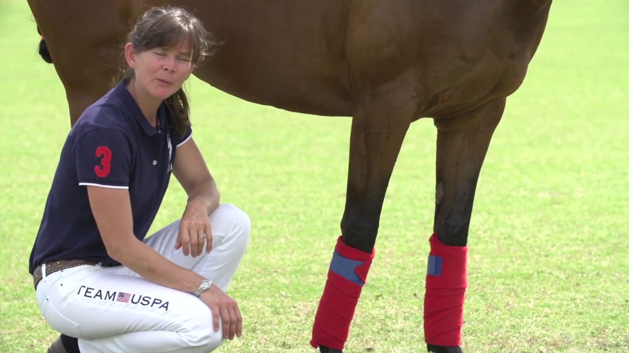 CPI Educational: Properly Wrapping a Leg | Dr. Shelley Onderdonk