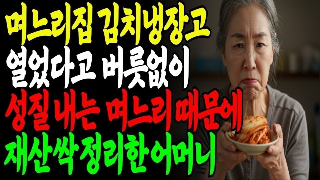 며느리집 김치냉장고 열었다고 버릇없이 성질내는 며느리 때문에 재산 싹 정리한 어머니|부모자식|고부갈등|아들|노후사연|노년|자금|오디오북|