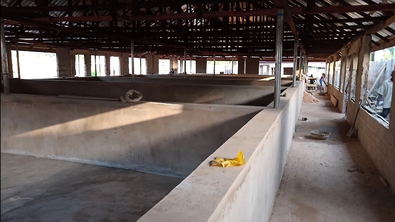 UNIMAGINABLE: ENUGU 2020 ULTRA MODERN 30,000 CAPACITY FISH FARM 95% COMPLETED