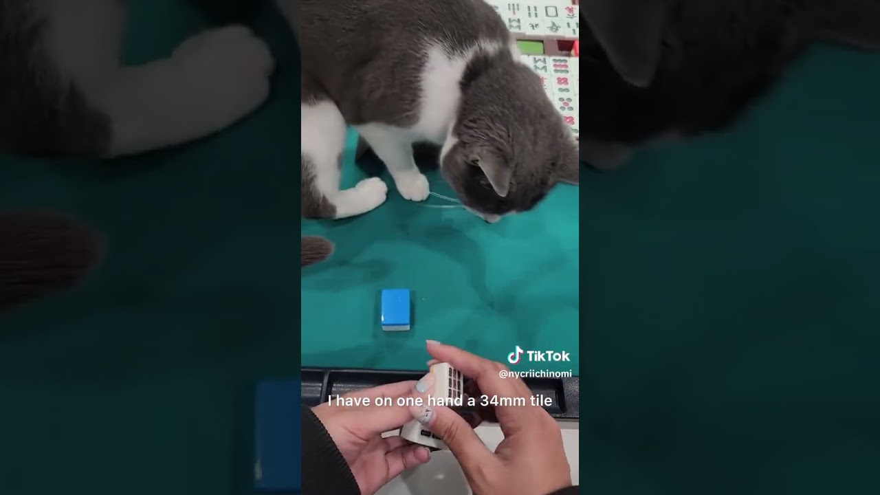 что следует учитывать при покупке набора для игры в маджонг, часть 1!