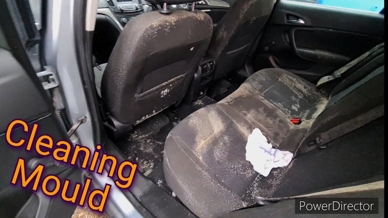 Deep Cleaning Mould Car Interior ( Disaster Mould Detail )