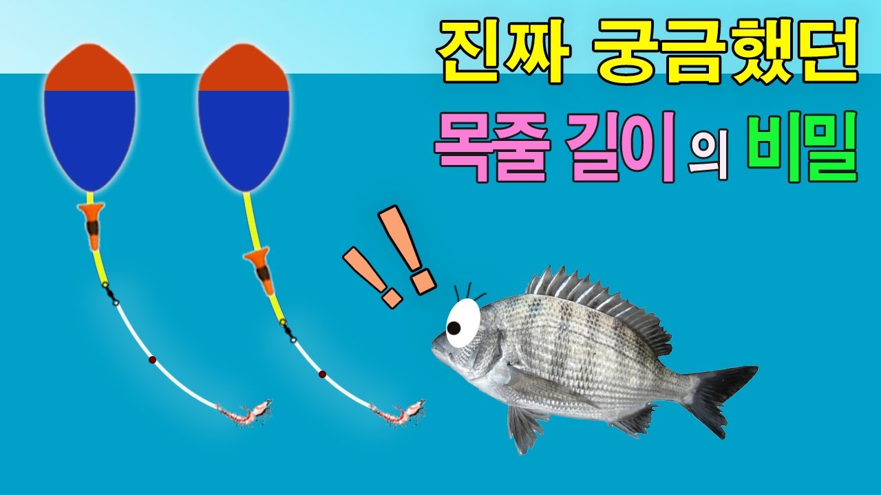 찌낚시 목줄길이? 얼마를 쓰시나요?