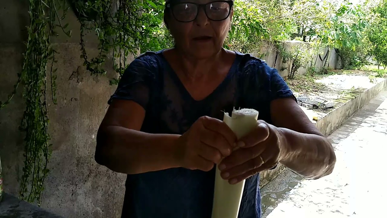 Como fazer o palmito da bananeira.