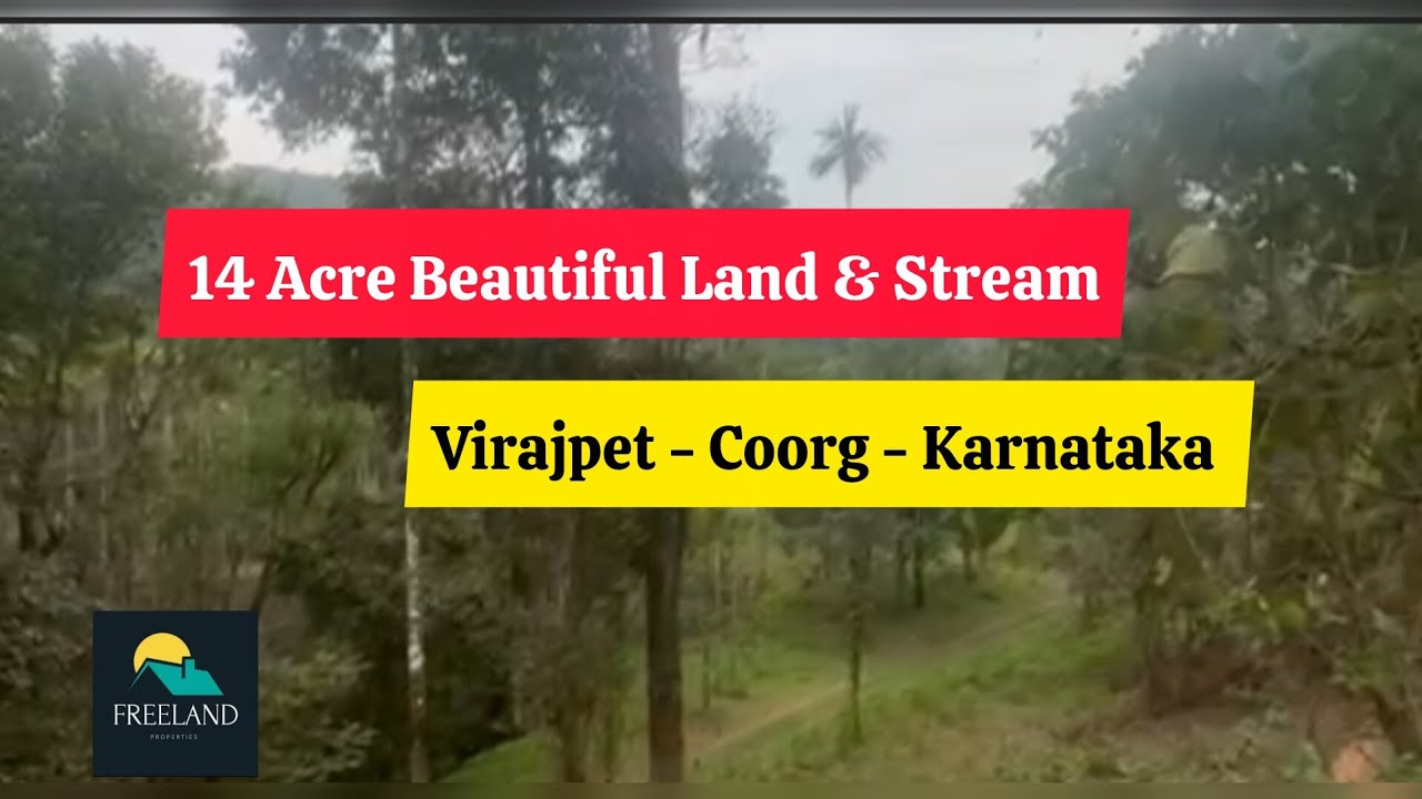14 Acre Beautiful Plain Land With Stream For Sale | Virajpet | Coorg | Karnataka Resort Farmhouse 