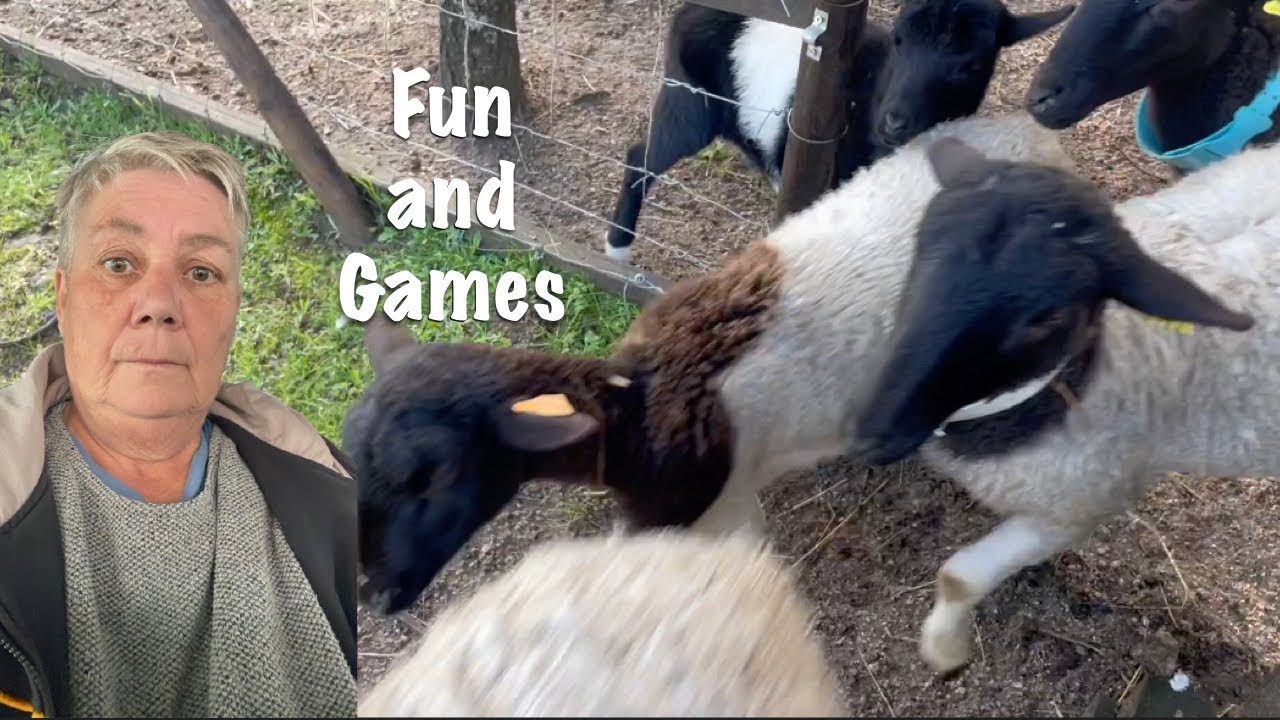 FUN AND GAMES / OFF-GRID IN CENTRAL PORTUGA;