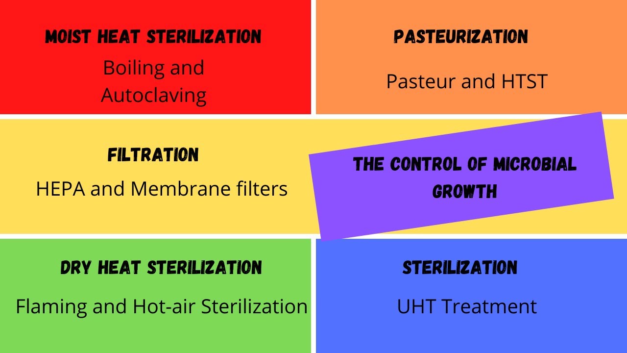 The Control of Microbial Growth- How to Study Microbiology