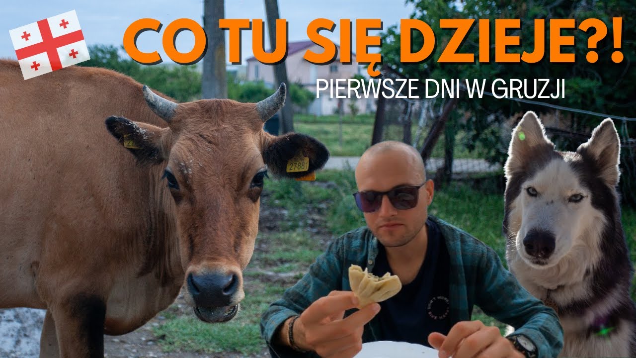 42. Wjazd kamperem do Gruzji - szczere pierwsze wrażenia