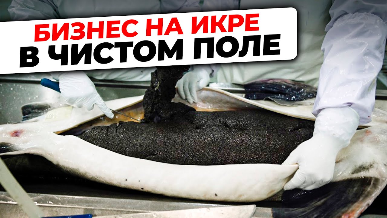 Превратили Обычный УЧАСТОК В ОСЕТРОВУЮ ФЕРМУ! | Обзор на Рыбную Ферму УЗВ на 1 ТОННУ ИКРЫ в ГОД