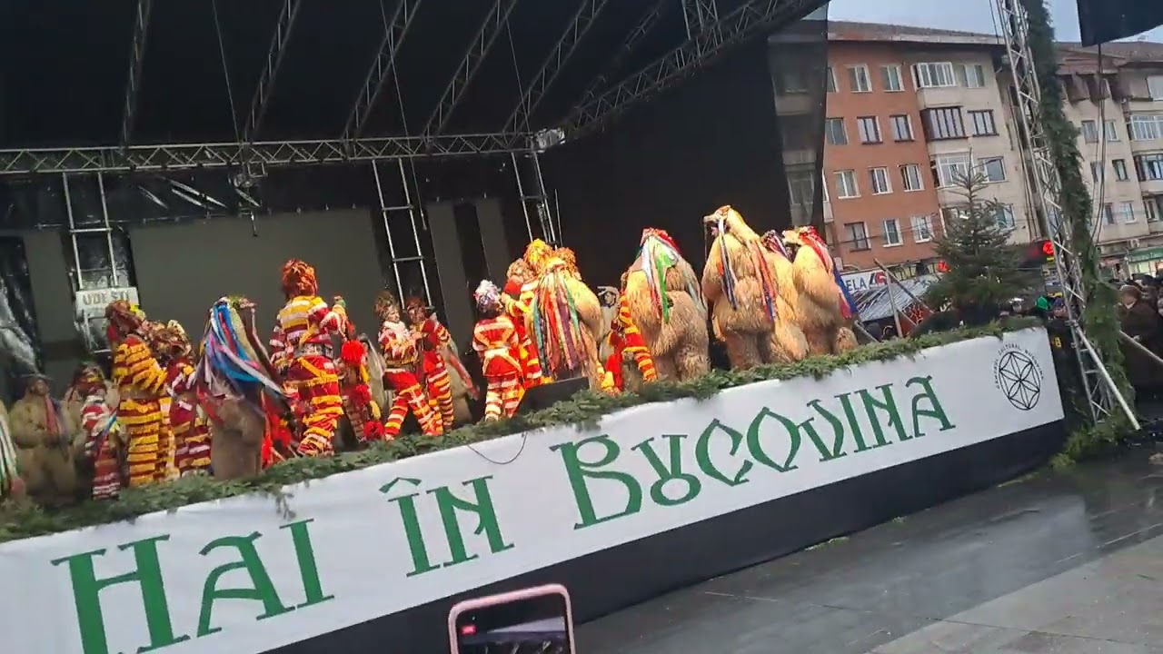 Ceata de ursi de la Udesti - Suceava