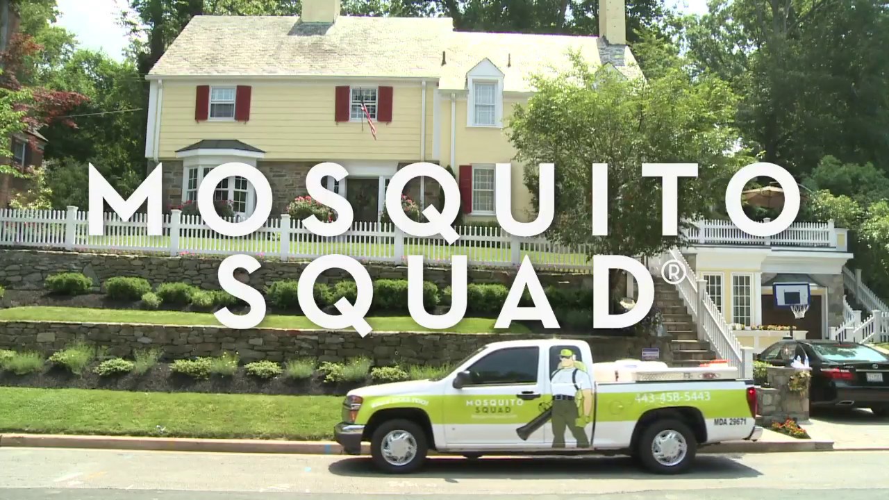 Introduction to Mosquito Squad