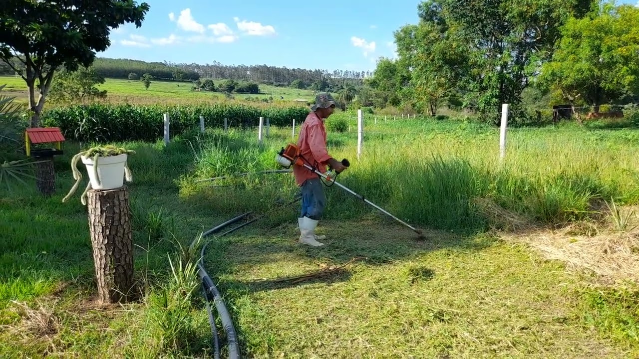 Rossando A estrada que leva para o pomar! 