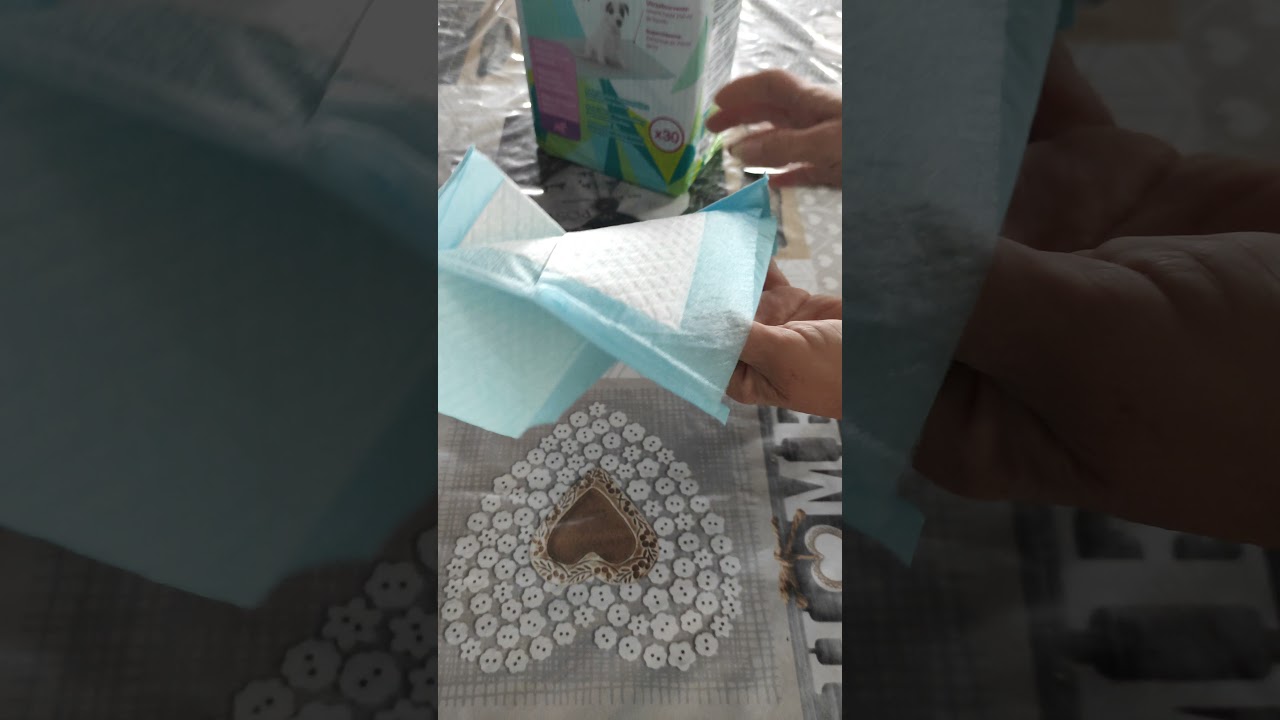 Tapis de propreté chiot Zoomalia (Ultra absorbant)