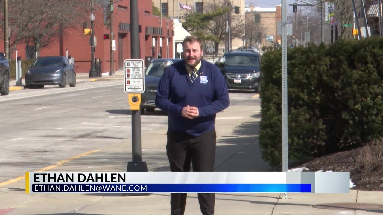 All about Fort Wayne's AI-powered Flock surveillance cameras WANE 15 Nightcast