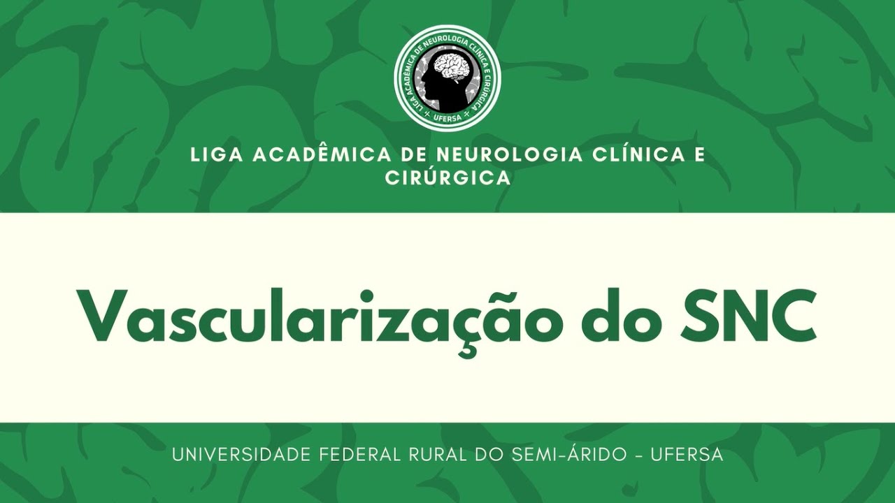 Vascularização do SNC - Aula 08 LANCC