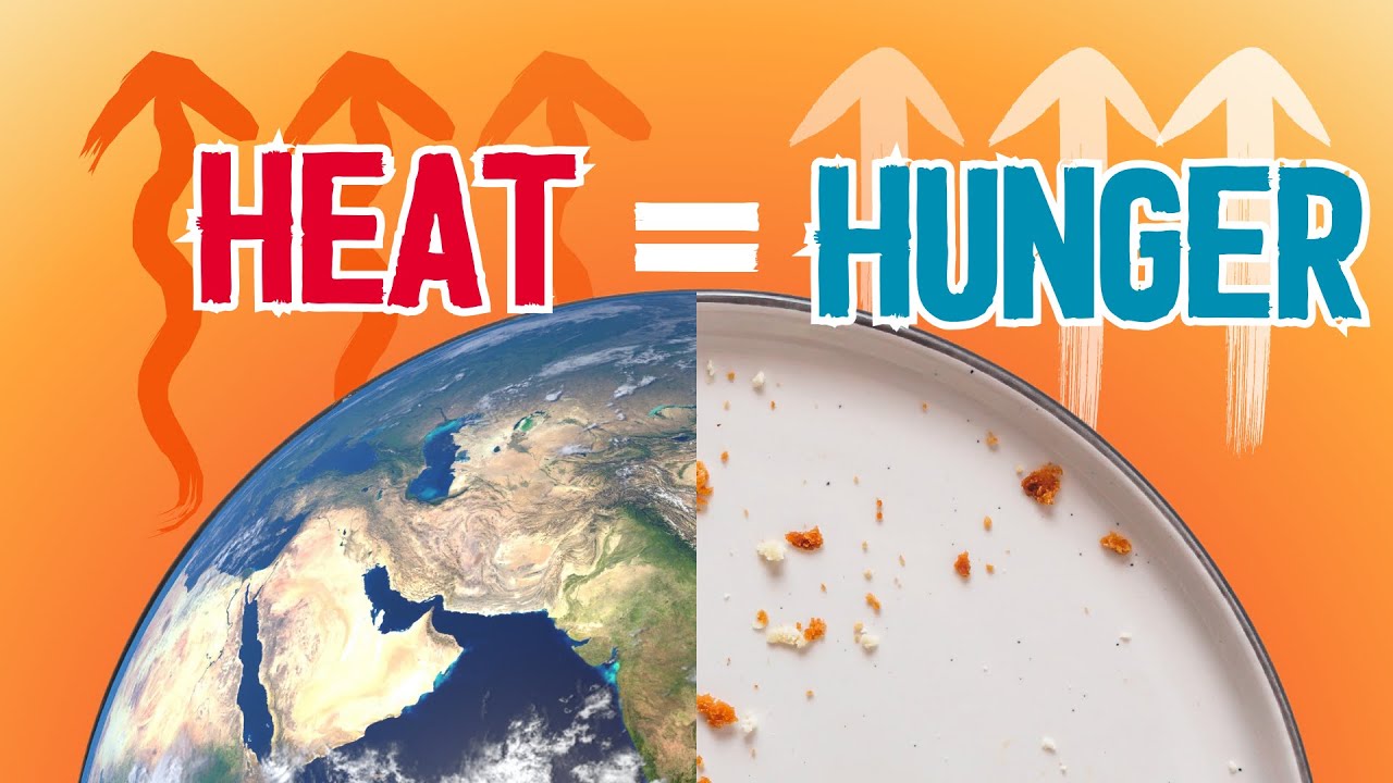 How Climate Extremes are Causing World Hunger