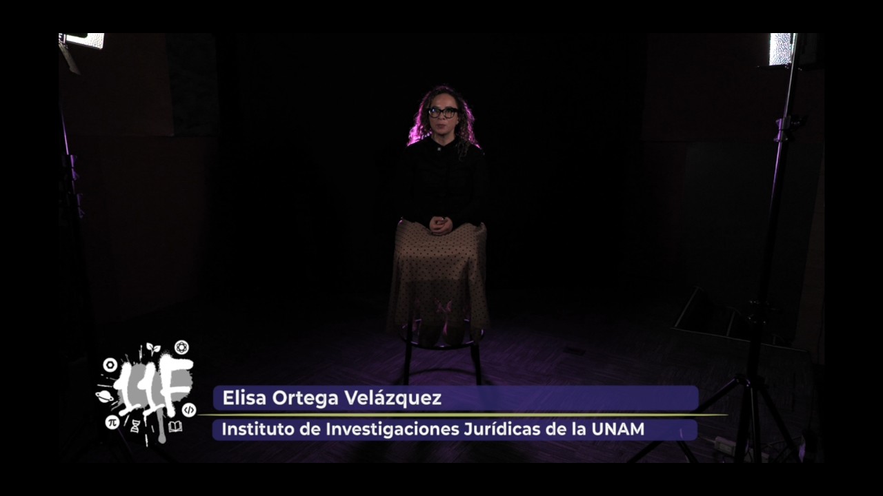 #11F ¿Actualmente cuáles son sus proyectos de investigación?, IIJ-UNAM