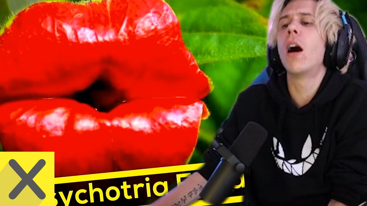 RUBIUS reacciona a CURIOSIDADES de XpressTV y a VIDEOS GRACIOSOS