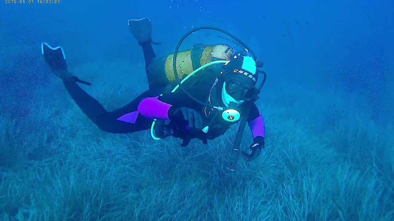 Immersione PALINURO - 5 Settembre 2021 con Centro Sub Palinuro