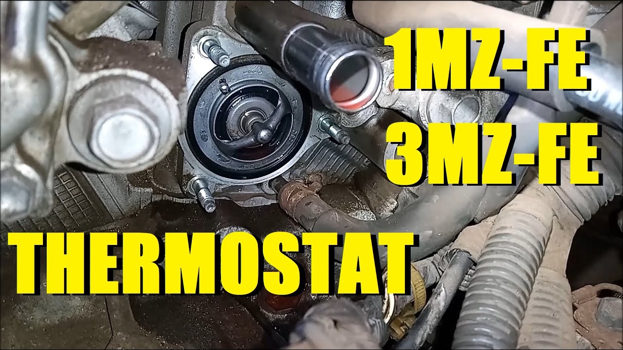 How-to Thermostat Toyota 3.3-liter V6 3mz-fe 3.0-liter 1MZ-FE -  Sienna Camry Highlander RX330 RX300