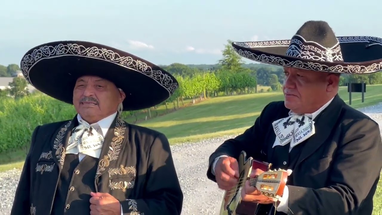 Mariachi Los Mensajeros Del Sur De Humberto Guzman - Rama Seca (En Vivo)