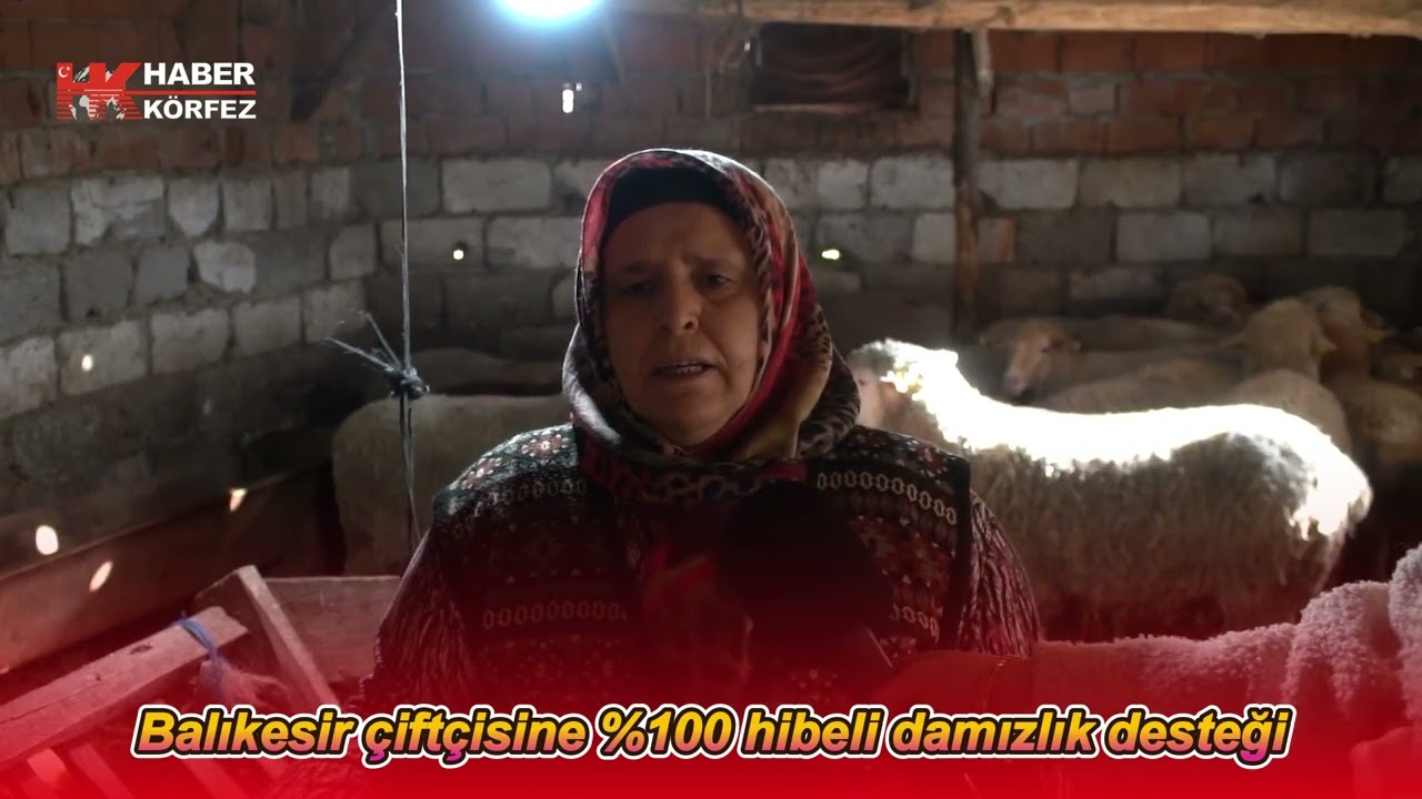 Balıkesir çiftçisine %100 hibeli damızlık desteği