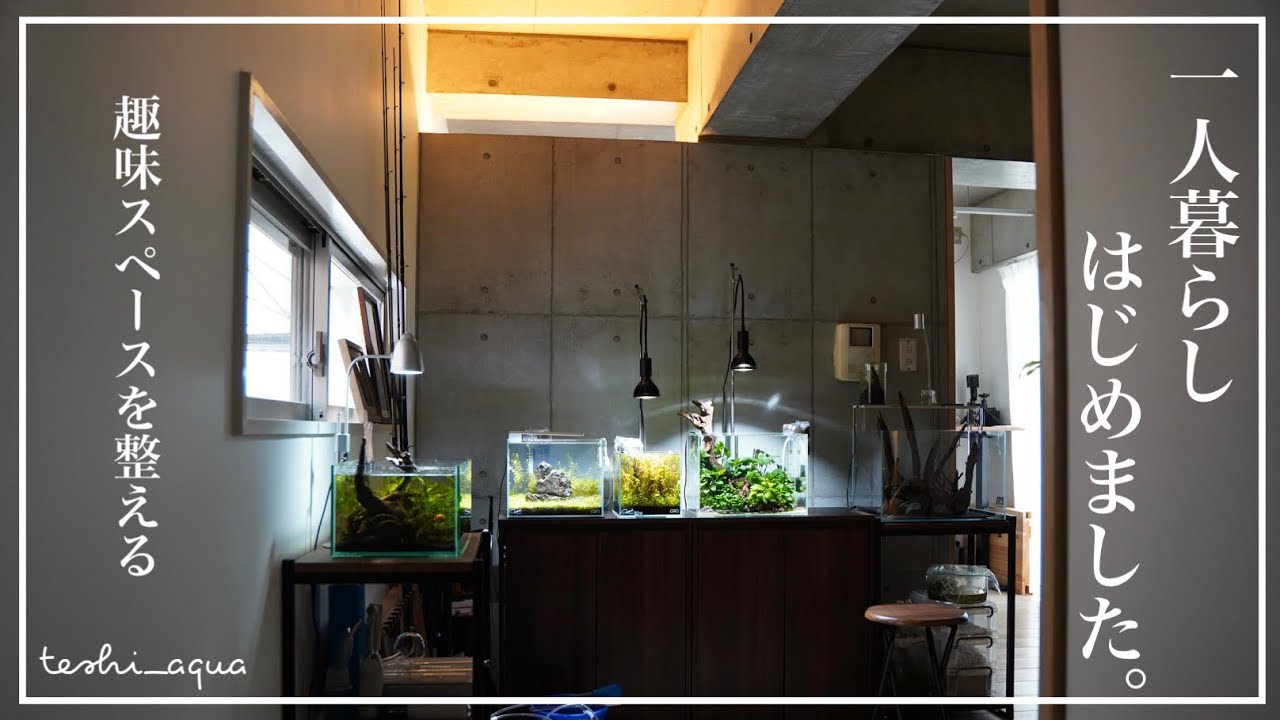 【アクアリウム】一人暮らし始めたので、新居に水槽設置していく。/aquarium/vlog/コンクリート打ちっぱなし/賃貸DIY/#18