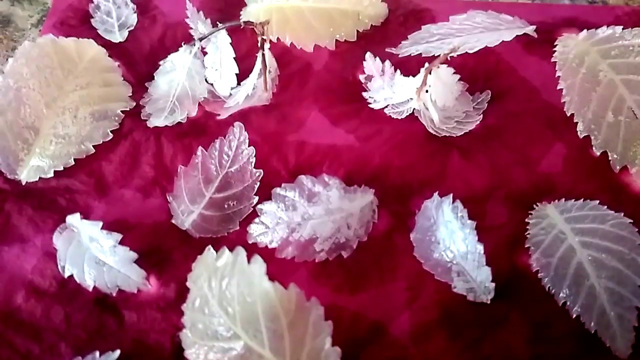 DIY Скелетирование листьев &mdash; Как сделать скелет листа. Самый простой способ скелетирования | TUBIX