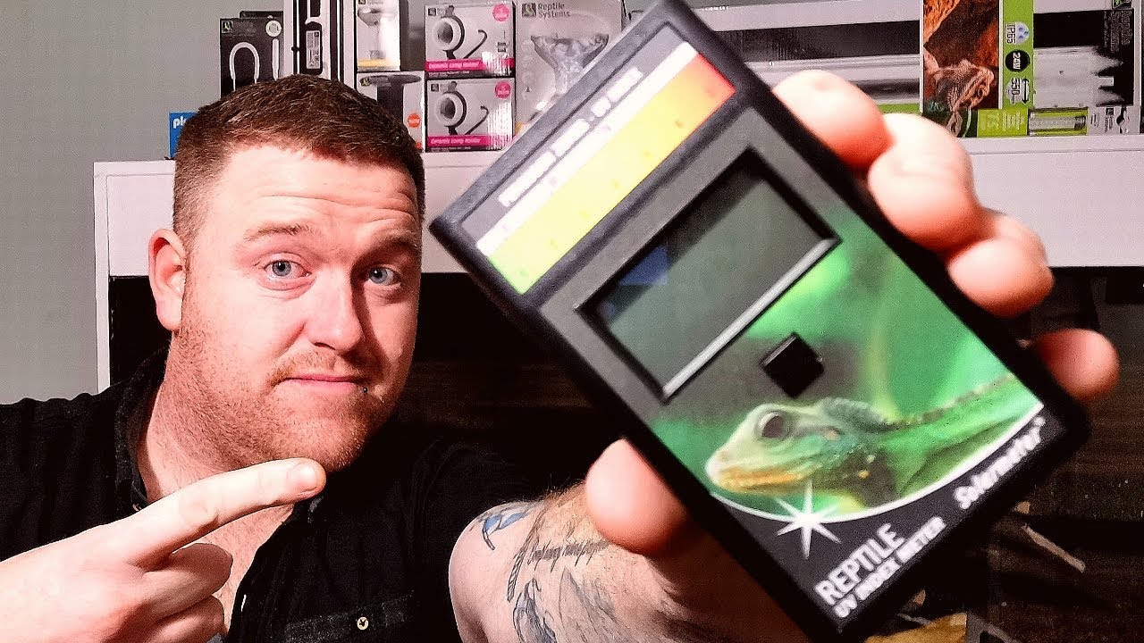 TESTED! Does UVB Pass Through Glass And Mesh? Big Announcement