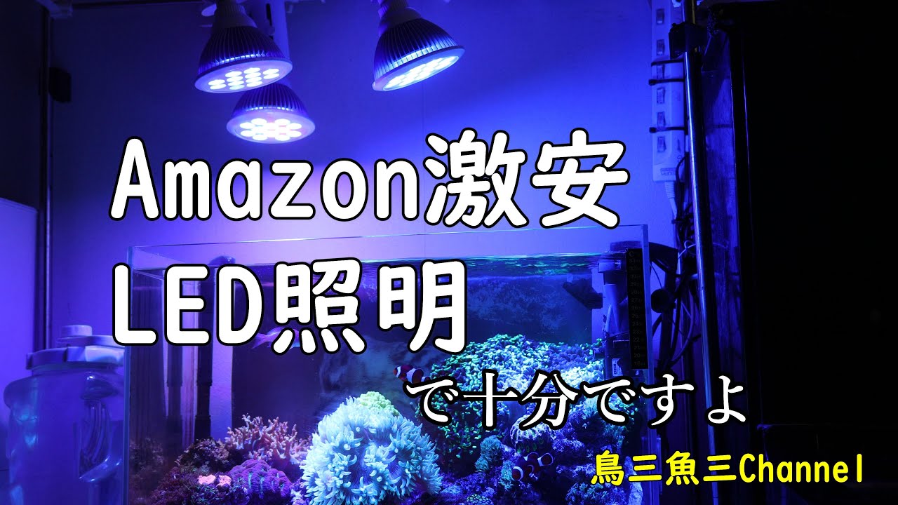 【海水魚水槽211】LED照明