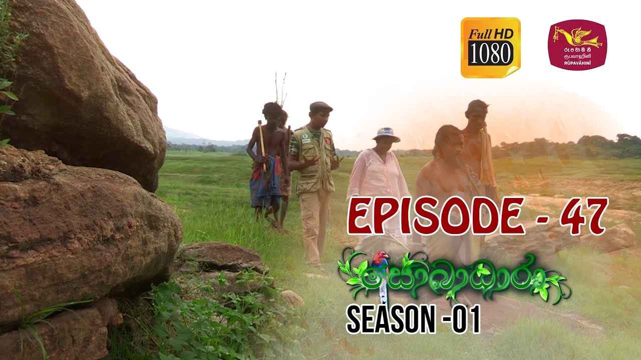 Sobadhara | Season - 01 | Episode 47 | Sobadhara Rupavahini
