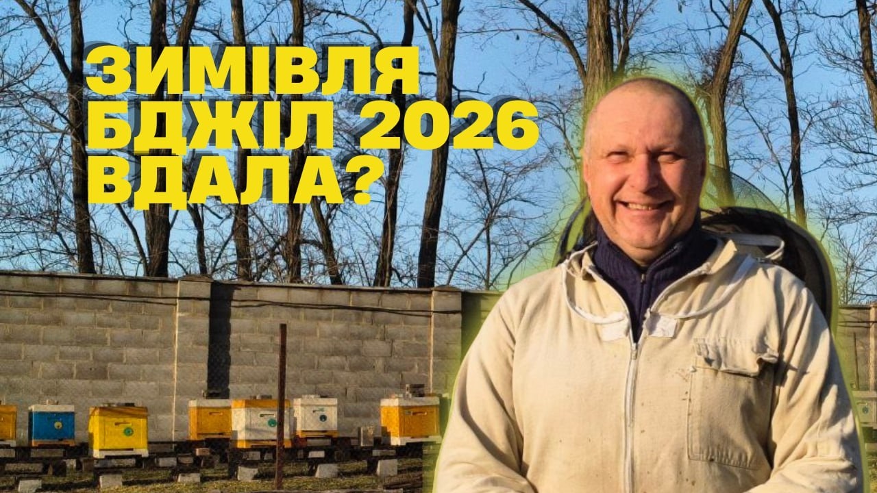 Видихнули: всі сім