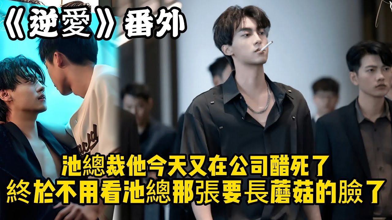 《逆愛》：番外！池總裁他今天又在公司醋死了，“終於不用看池總那張等得快要長蘑菇的臉了。”#田栩宁 #梓渝 #吴所畏 #池骋 #逆爱 #revenged