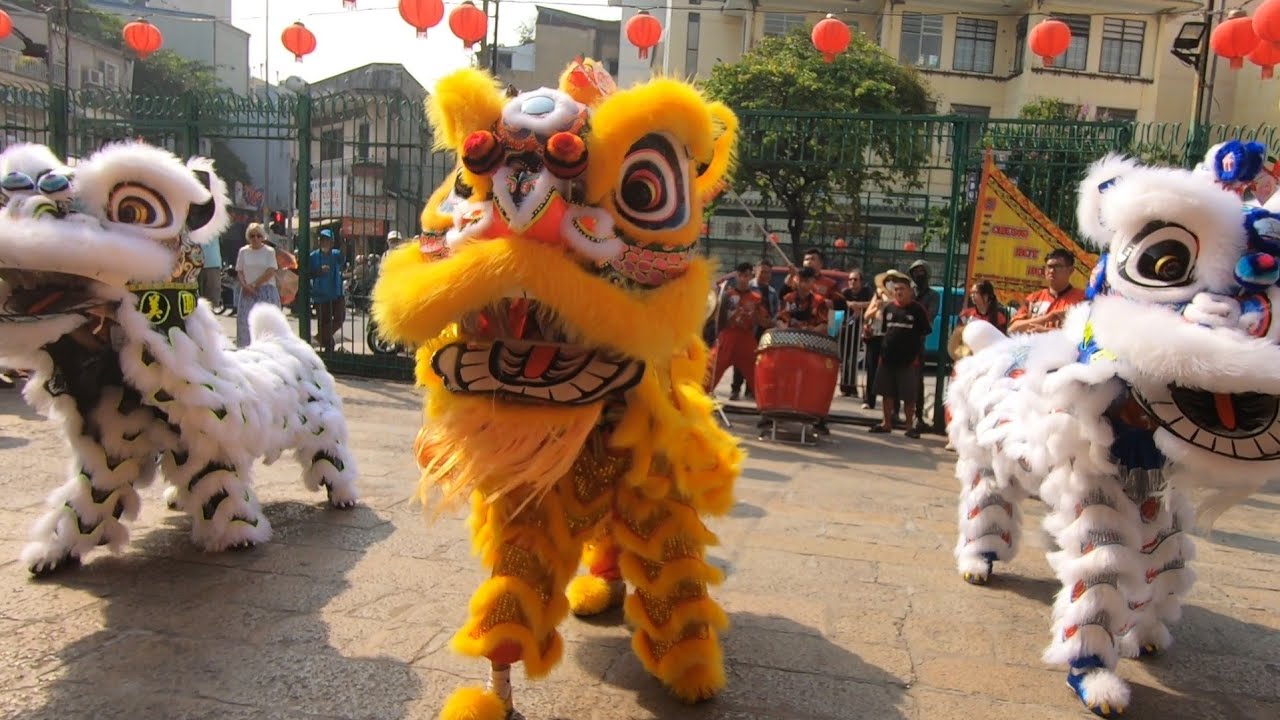 3 Con Lân Đặc sắc nhất của Đoàn Chung Huy Đường cho Giải Lân Sư Rồng Quốc Tế Cúp Chợ Lớn HTV 2026