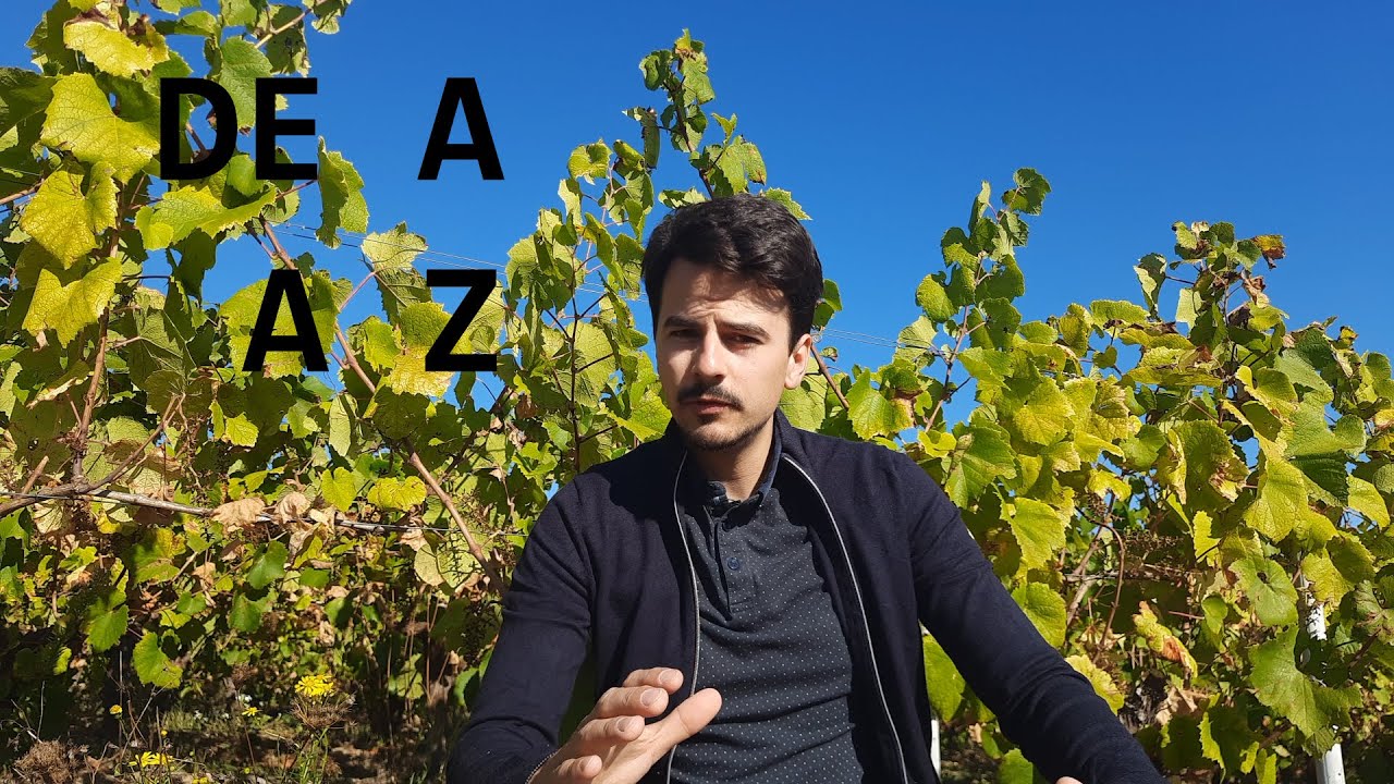 De A à Z - l'Hebdo 1