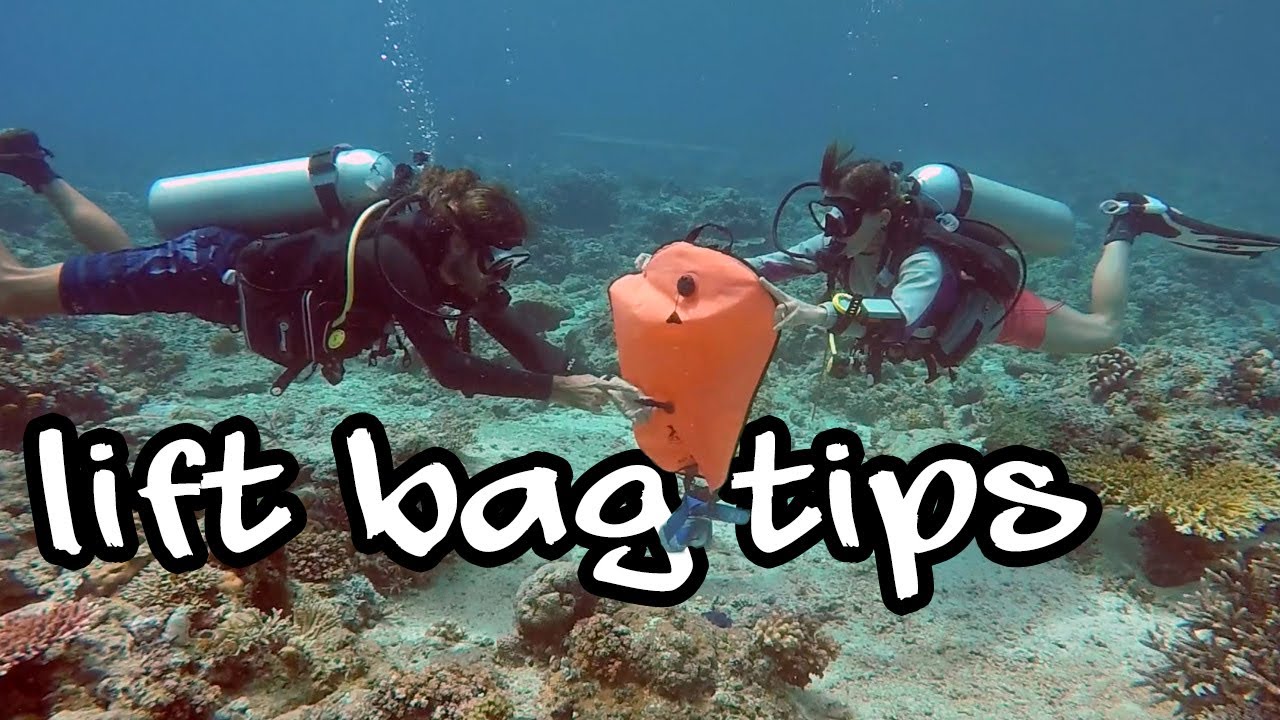 How to 🦺 SAFELY ⛑ use a lift bag while scuba diving