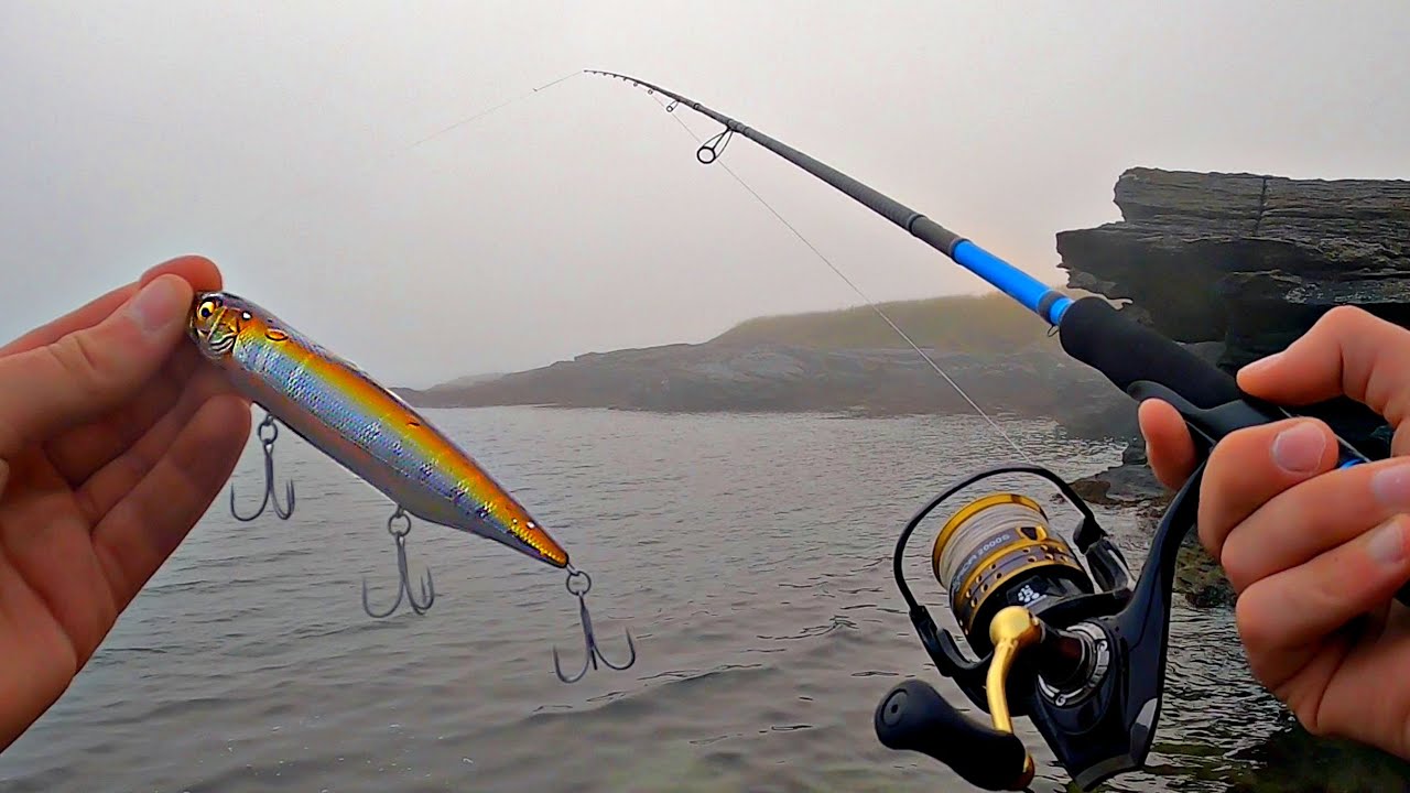 I FINALLY caught this Bass!! - Misty Morning Lure Fishing (TOPWATER) ☁️