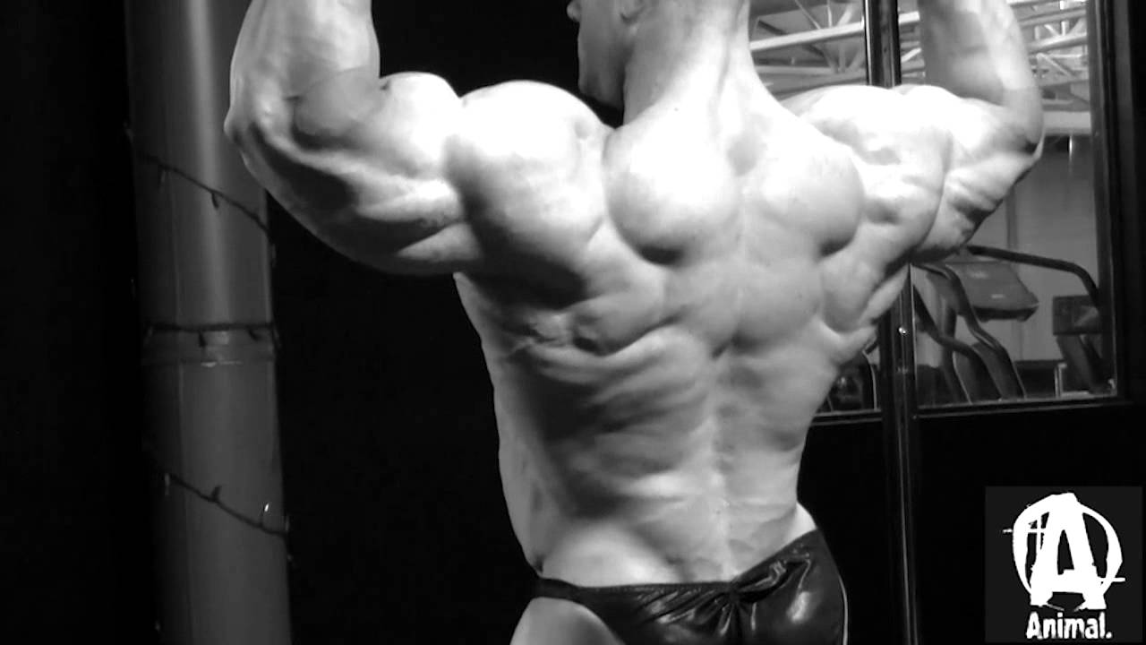 Journey to the Olympia 2012, Volume 3: Glorifying the Past