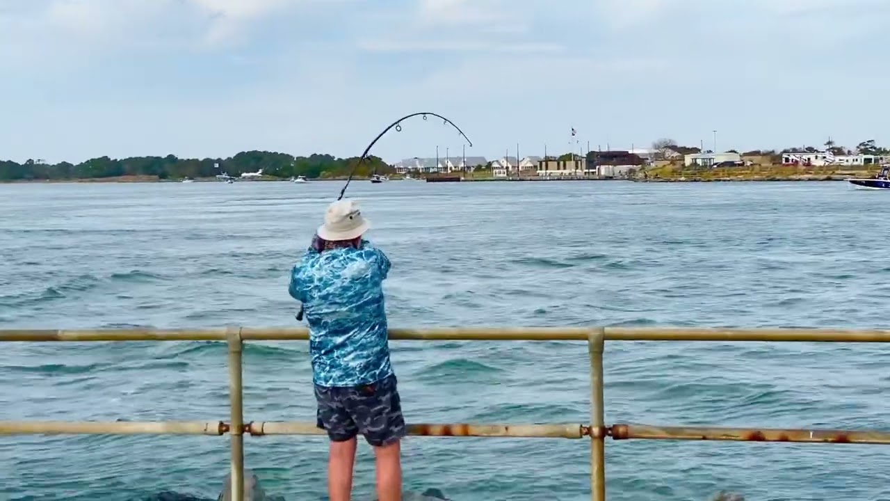 Delaware Seashore State Park - Where you can Camping, Fishing and Doing much more - FYI