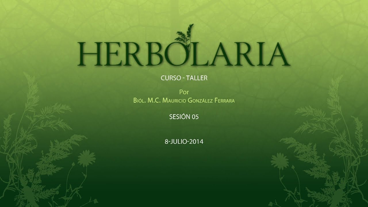 Curso de Herbolaria: Plantas Medicinales y Usos Tradicionales | Bi&oacute;logo Mauricio Gonz&aacute;lez #5