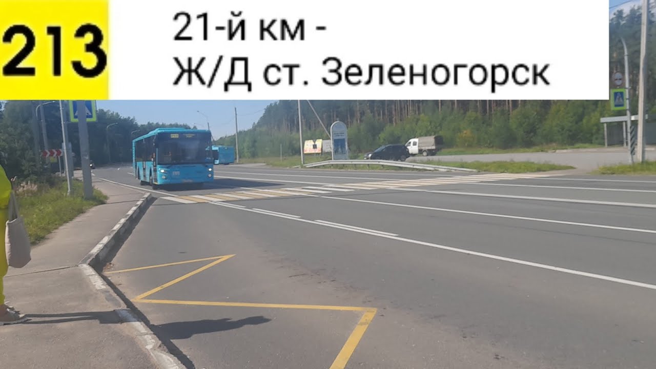 Автобус 213. 21-й км - Ж/Д ст. Зеленогорск