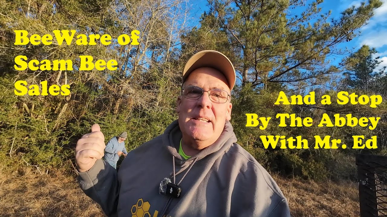 Overwintered Bees For Sale | Visiting Mr. Ed & His Swarm Contest