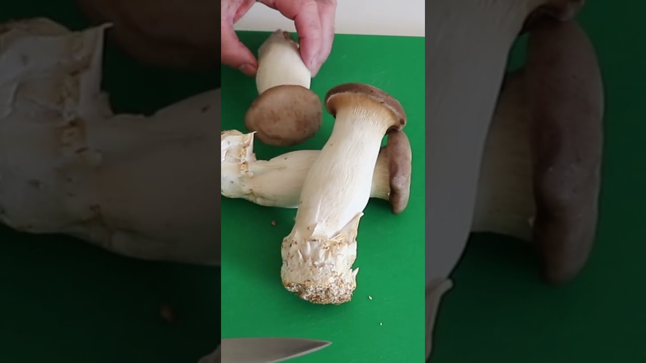 King Oyster Mushroom