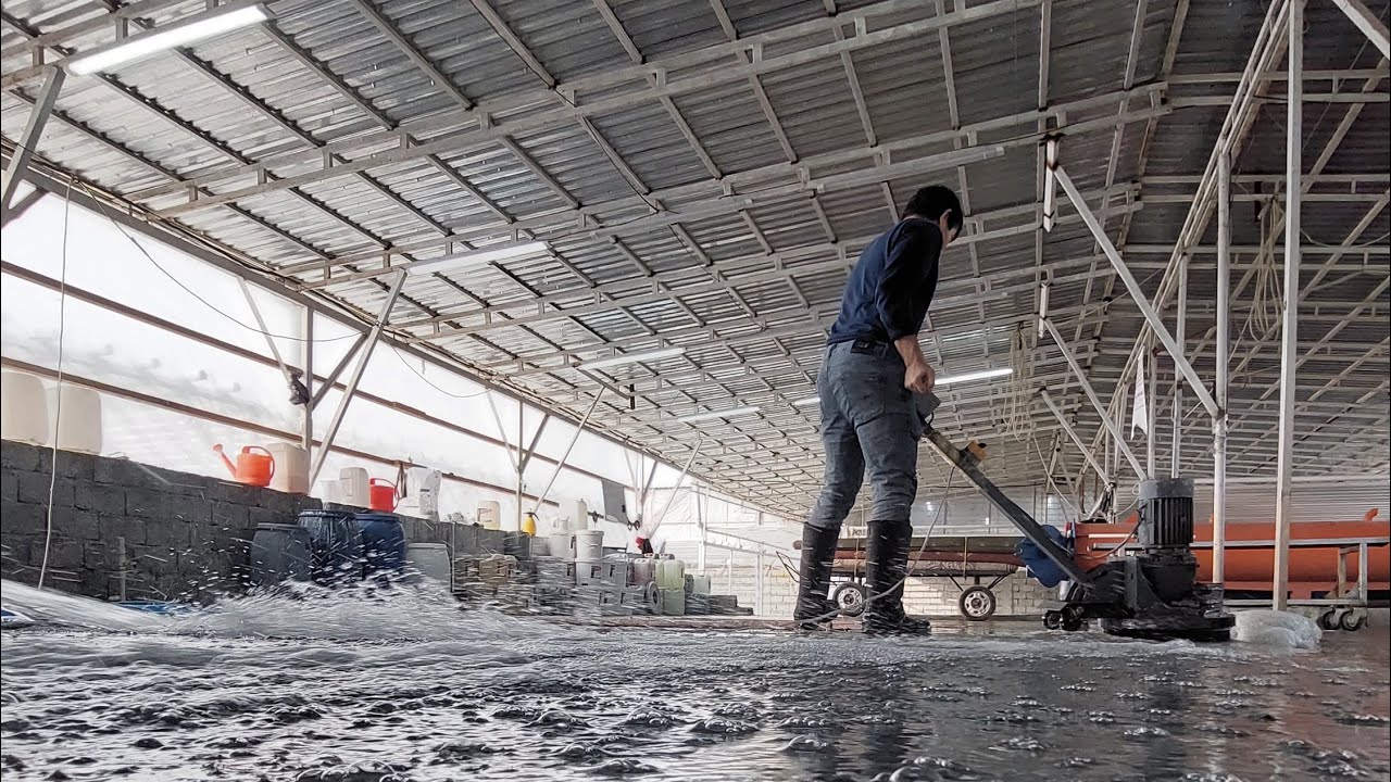 Гилам ювиш жараёни, Gilam yuvish jarayoni. #чисткаковров #carpetcleaning #asmr #carpetwash #челлендж