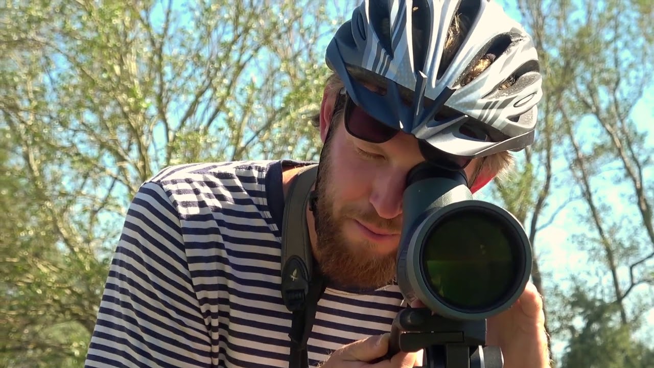 Radfahren im Nationalpark Neusiedler See Seewinkel
