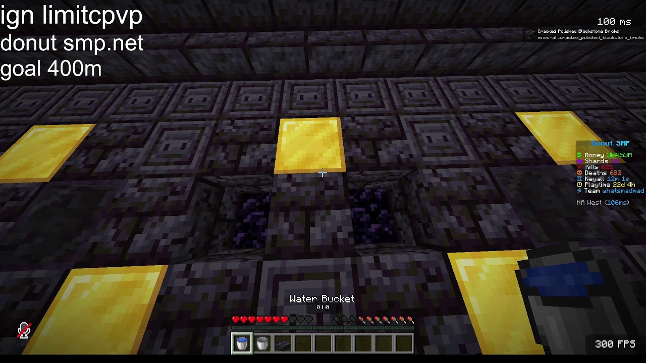 Gambling till 500m having fun  and auctioning on donut smp