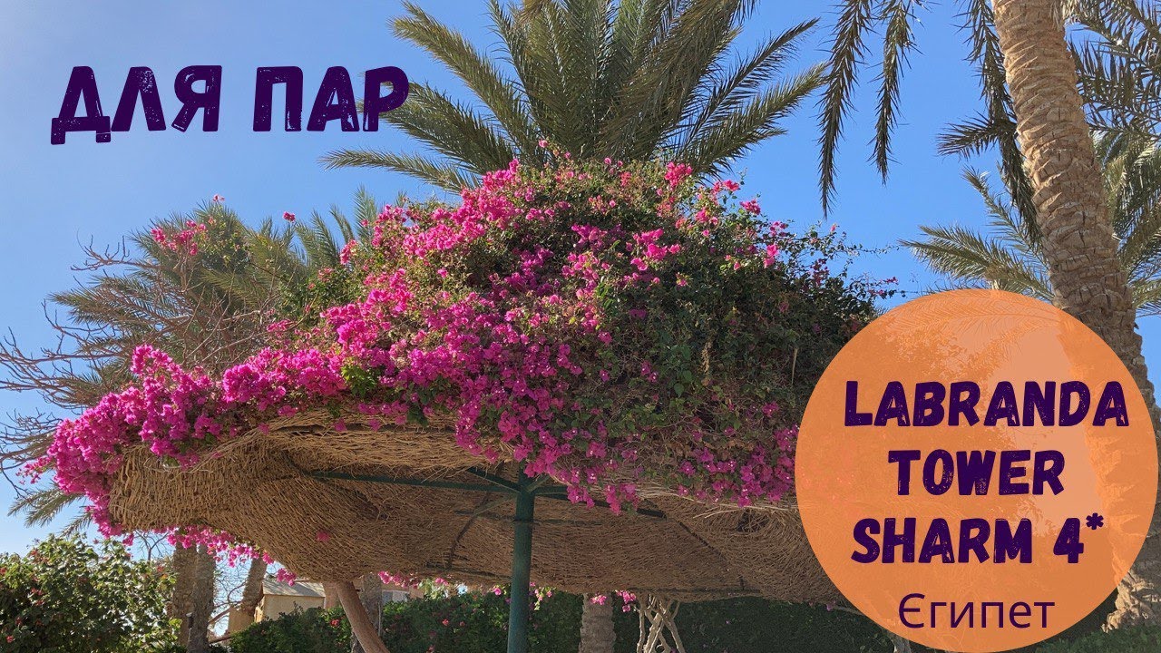 LABRANDA TOWER SHARM 4* (Лабранда Шарм, Єгипет). Для романтичних подорожей та Прогулянок під луною)