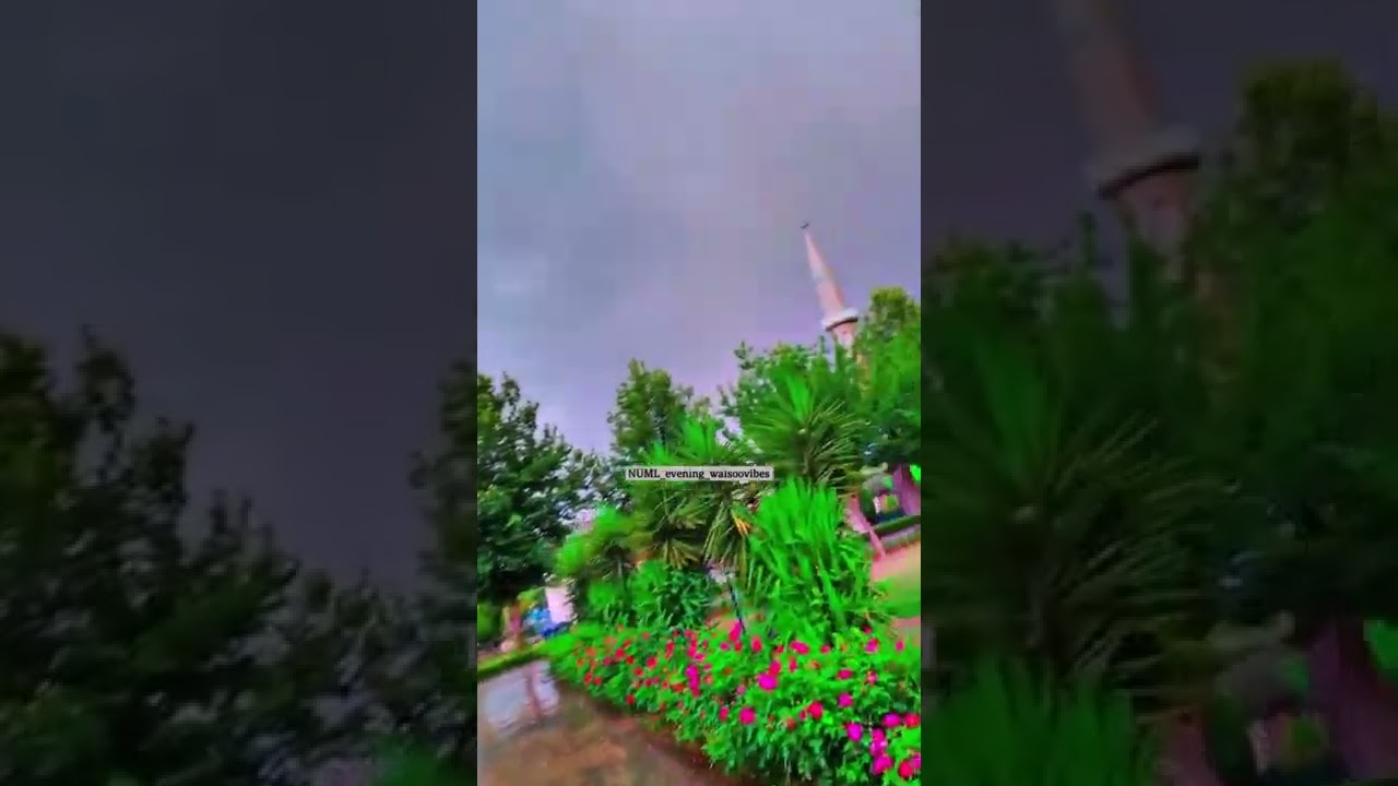 NUML Islamabad |  Beauty of NUML | Life at NUML | numl short videos